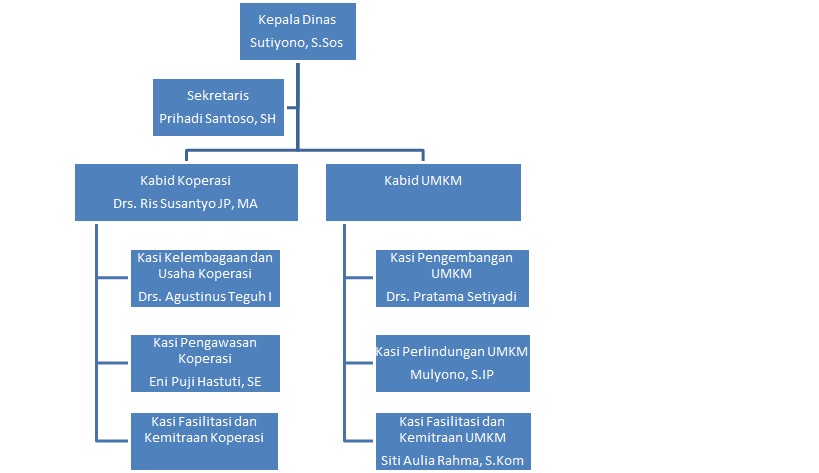 Struktur Organisasi 